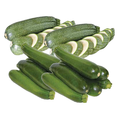 Zucchini or Mexican Squash