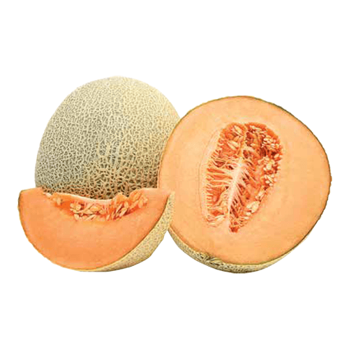 Cantaloupe Melon