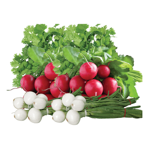 Cilantro, Radish or Mexican BBQ Onions