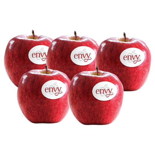 Envy Apple