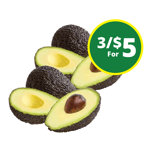 Extra Large Avocado