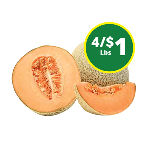 Cantaloupe Melon