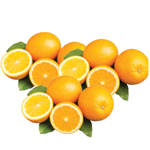 Naranja Navel