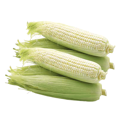 Sweet Corn