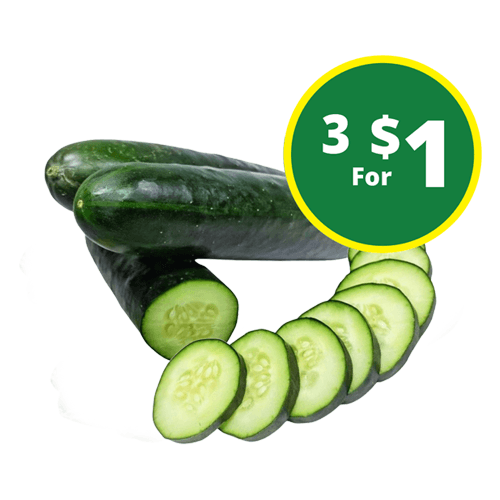 Cucumber large