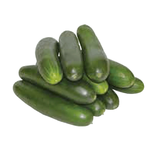 Pepinos