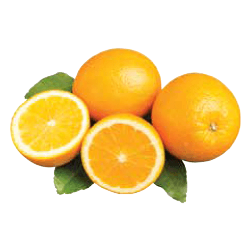 Valencia Oranges