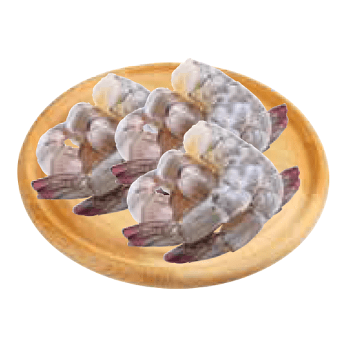 Mdium Shrimp From Ecuador or Mexico